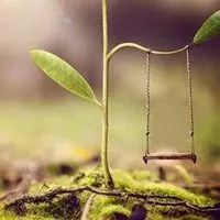 表示静心的微信头像图片 宁静静心的头像_微信头像图片大全