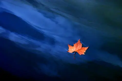 的季节,是带着淡淡的忧伤,唱着那无人知晓的旋律,而秋天的风很凉爽,吹