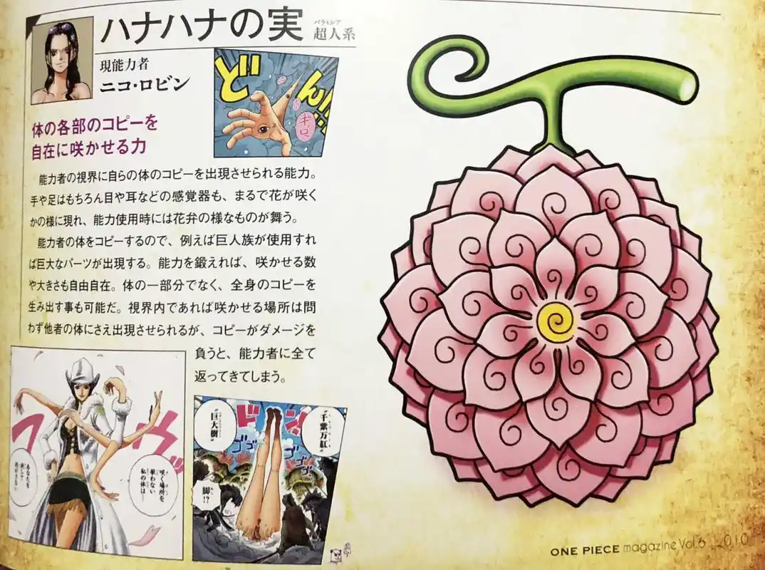 海贼王官方情报恶魔果实图鉴公布乔巴罗宾的果实模样很独特