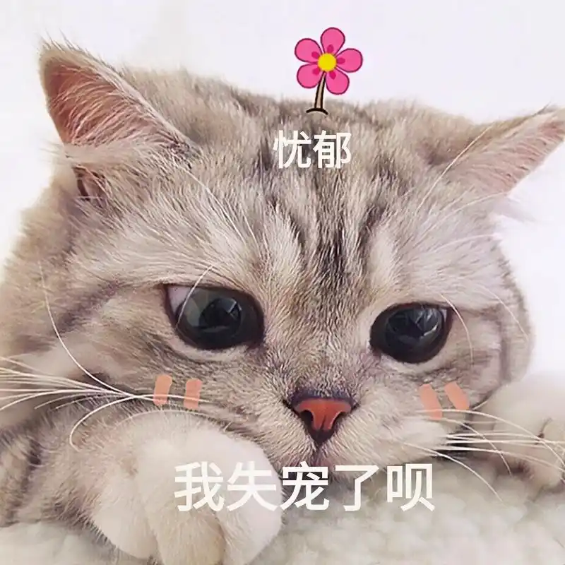 免费获取高清表情包图片 - 抖音