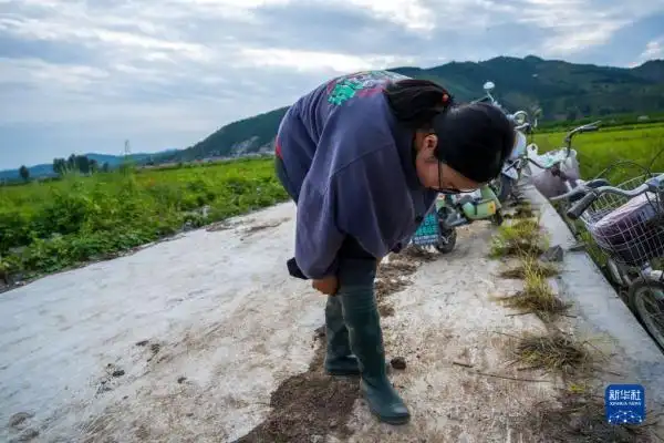 7月25日,在河北省承德市隆化县张三营镇东风村,宫希希在整理雨靴,准备