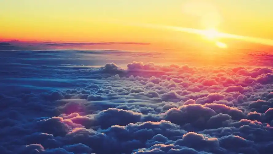 阳光小清新唯美壁纸