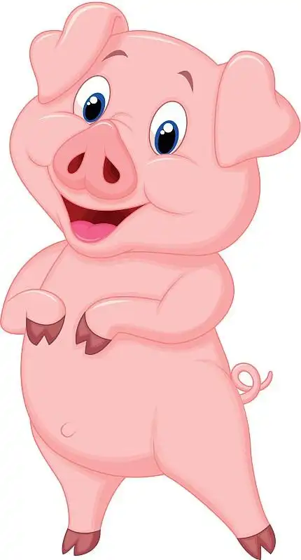 可爱的卡通猪
