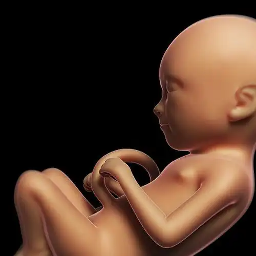 准妈妈怀孕一个月左右,这个时候的受精卵刚刚着床也就在慢慢发育,胚胎