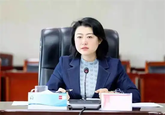 4月3日,邢台市任泽区委书记杨蕾主持召开四大班子联席会议.