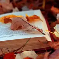 唯美文艺书本头像