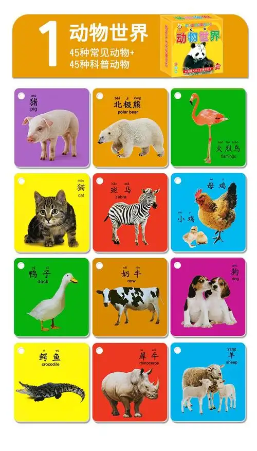 儿童撕不烂早教卡早教早教启蒙卡片0-6岁儿童认识颜色水果蔬菜动物识