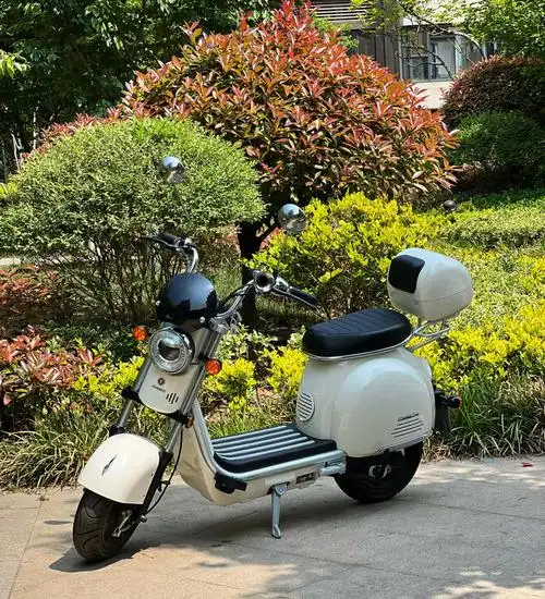 爱玛小帕电动车73