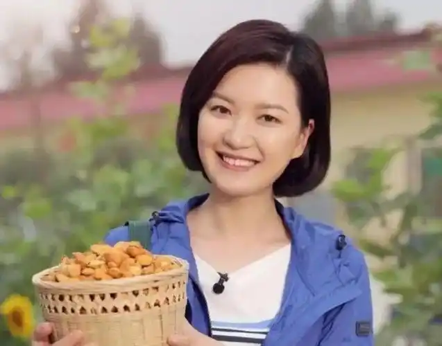 房海燕因为没有编制而默默离开现在她能有几个去处