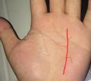 贵人纹又称第二生命线,如果有贵人纹,那么容易与贵人相扶人缘好_工作