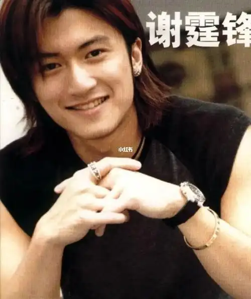 太喜欢长头发的霆锋了,青春啊! #谢霆锋