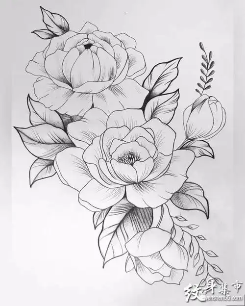 黑灰玫瑰纹身黑灰玫瑰纹身手稿黑灰玫瑰纹身手稿图案
