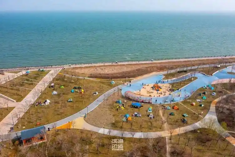 滨海新区东堤公园禁止搭帐篷?原来是._管理_嘉创_为了提供