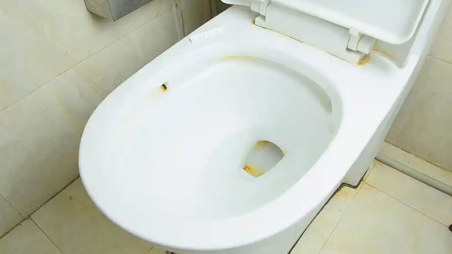 马桶里撒一把多黄多脏的马桶一冲就干净学会这招轻松洗掉