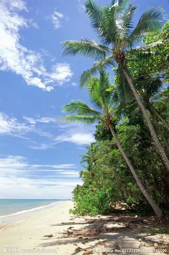 沙滩摄影图__自然风景_自然景观_摄影图库_昵图网nipic.com