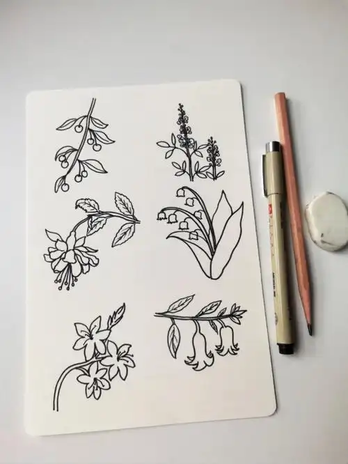 6种花卉简笔画画法原创103照片