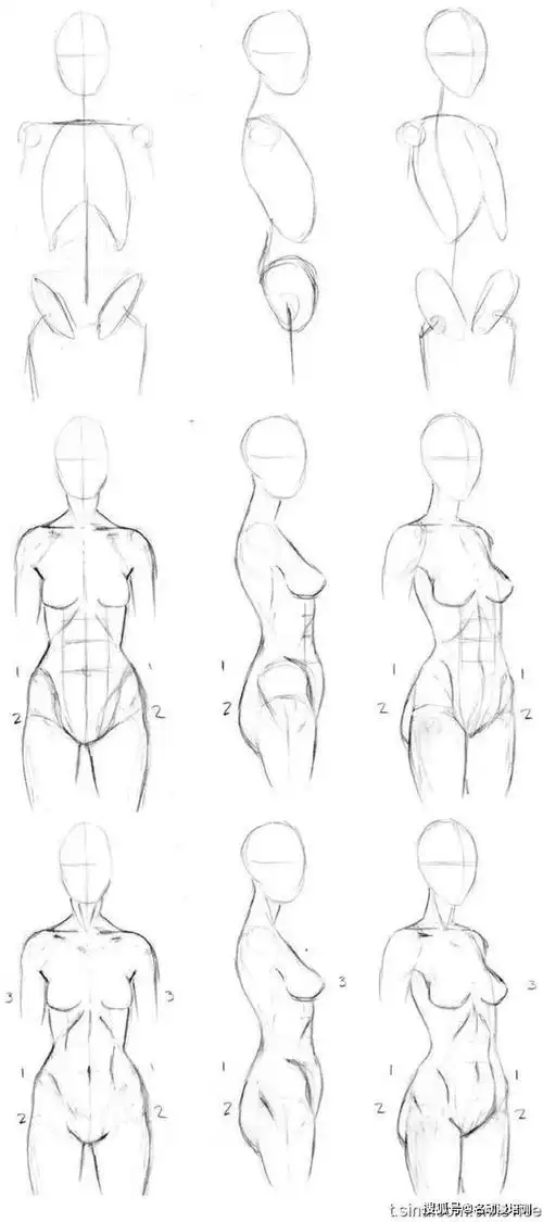 动漫人物的身体怎么画 动漫人物身体结构画法