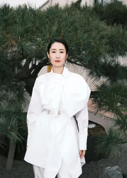 回顾刘敏涛感谢当初前夫的满脸嫌弃才成全我如今的双重幸福