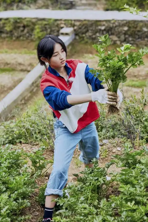 清新天然反差萌张子枫向往的生活3获喜爱