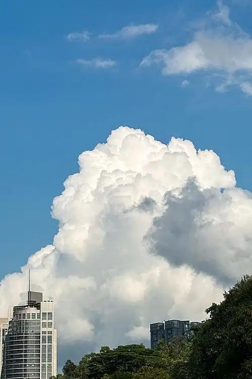 深圳image | 在深圳做云朵收藏家