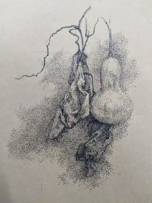 点绘|纯艺术|钢笔画|不二青鸟 - 原创作品 - 站酷 (zcool)