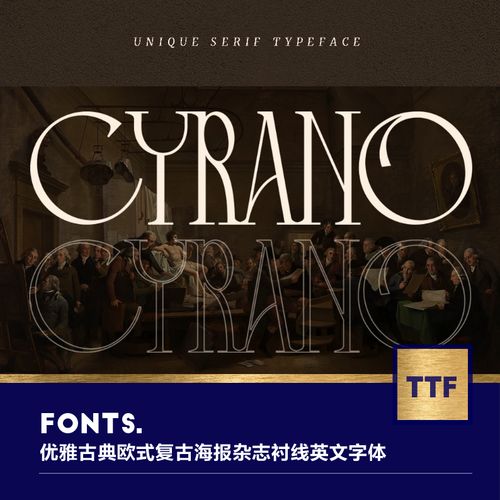 1款优雅古典欧式复古海报婚礼酸性杂志logo标题衬线英文字体素材