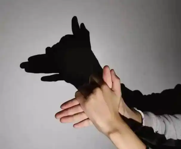 【57中学动态 | 学科活动】给你一束光,创意无极限