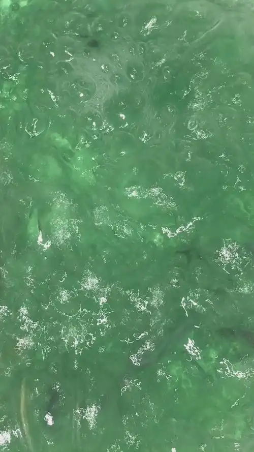 绿色系壁纸好喜欢啊