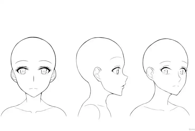 基础头部转向练习—人物基础头部结构提升