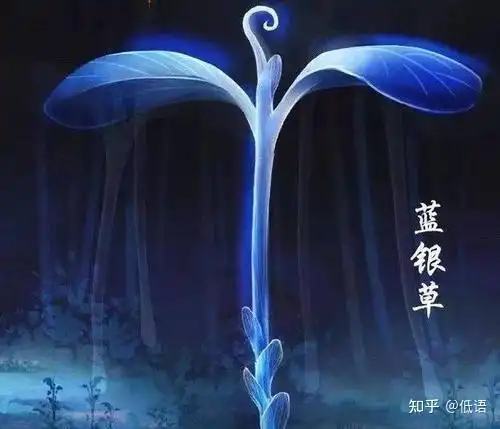 斗罗大陆动漫,蓝银草废武魂是谁定义的?