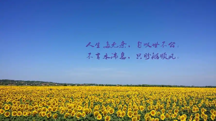 对生活无奈很现实的说说图片