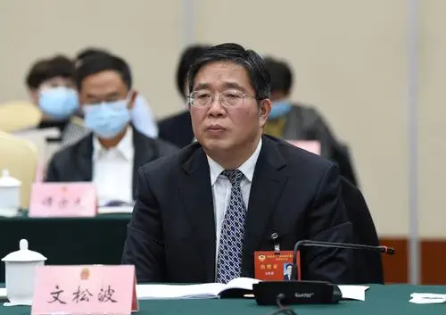 【两会特写】文松波委员:从这五个方面加强传统村落保护与利用