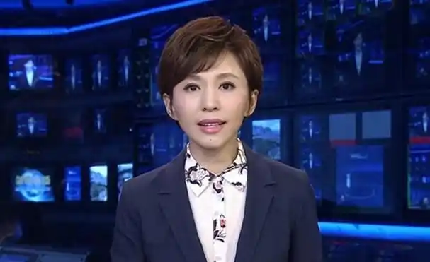 欧阳夏丹,这一名字在过去为众多人所熟知,她曾是《新闻联播》的主持人