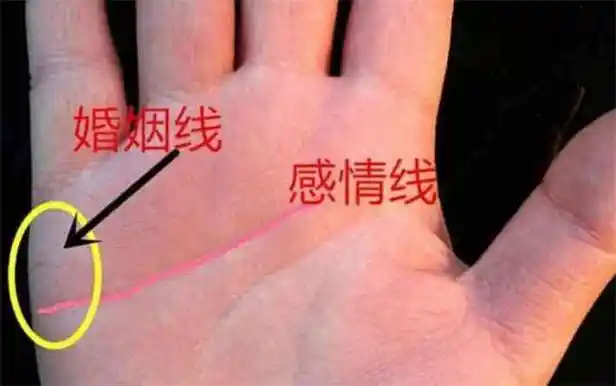 哪种手相的人会有两段婚姻(婚姻线分叉预示什么)