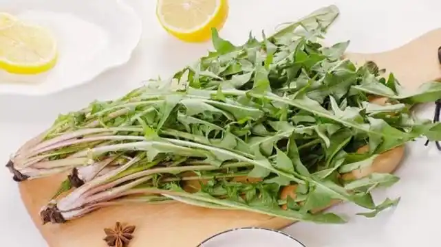 你知道吗?蒲公英除了蘸酱吃,还有其它用法