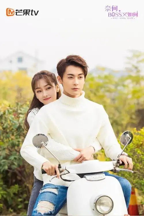 tv,银河酷娱【主创团队】导演:吴强【主演阵容】宣璐,赵志伟,金雯昕