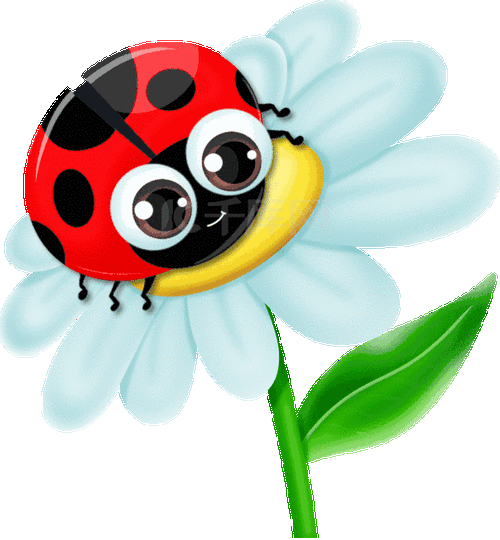 卡通可爱红色小七星瓢虫植物小花