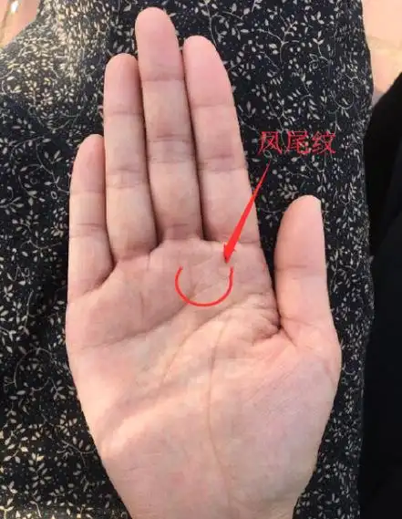 女人富贵命罕见手相凤尾纹手相女人命运详解!