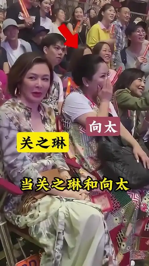 当关之琳和向太坐在一起时两人所表现出的状态很不相同