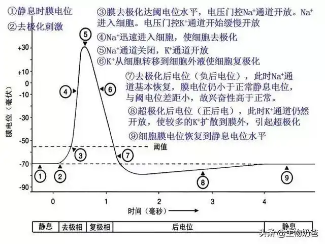 离子共存问题讲解高中(高考姊妹题赏析)(4)