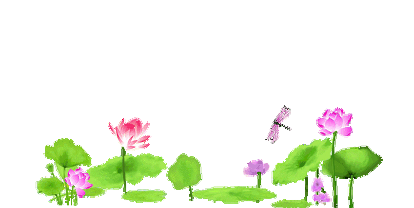 895_450gif 动态图 动图