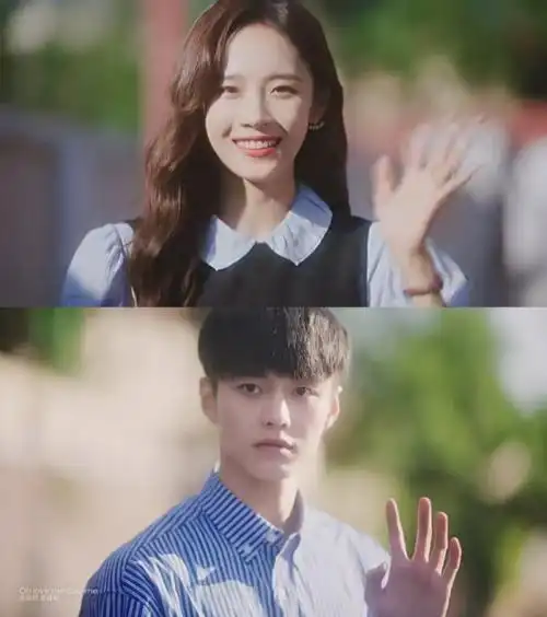 超甜的恋爱75猫的树作品75养眼好看75