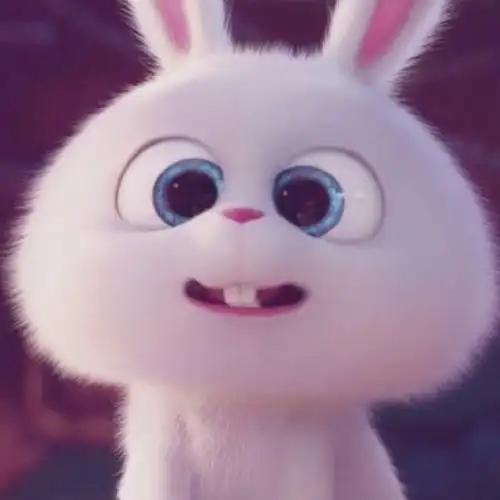 爱宠大机密兔子