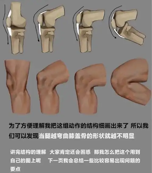 人物膝盖怎么画?新手怎么画好人物膝盖