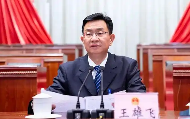 王雄飞当选茂名市市长