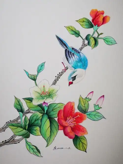 彩铅画61鸟语花香