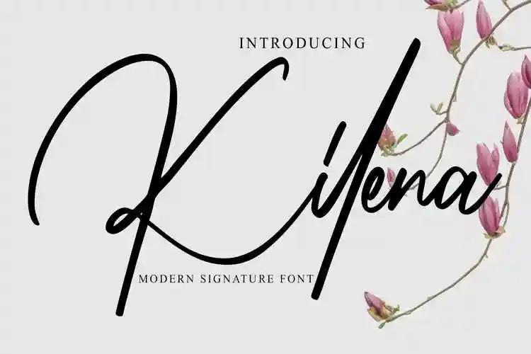 现代签名设计连笔手绘英文手写字体 kilena – modern signature font