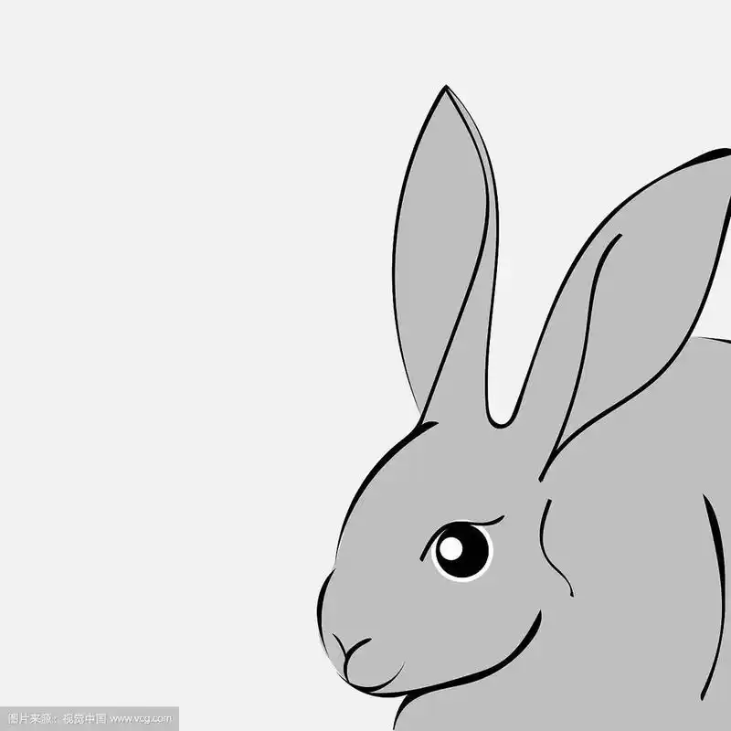 灰色复活节兔子白色背景动物