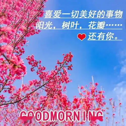 3月19日唯美好看的早安动态图片祝您天天开心顺心顺意