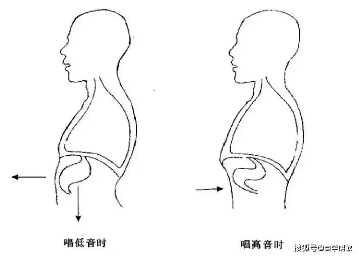 什么是唱歌的共鸣?